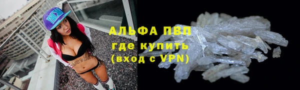 винт Щигры