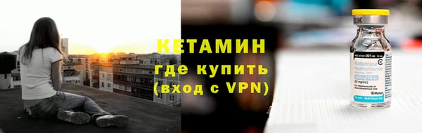 хмурый Верея