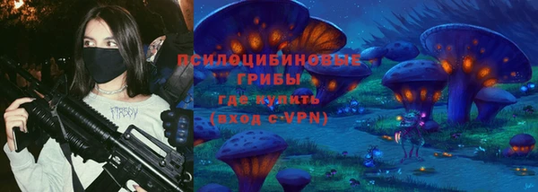 винт Щигры