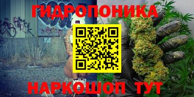 прущие крисы Ипатово