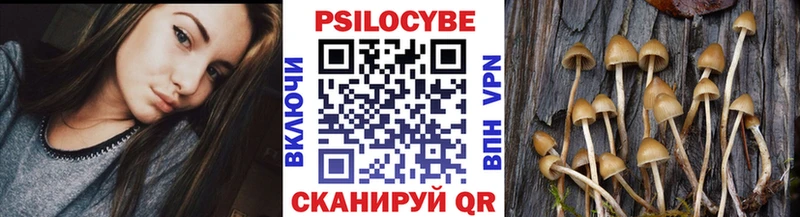 Псилоцибиновые грибы Psilocybine cubensis  дарнет шоп  Иркутск 
