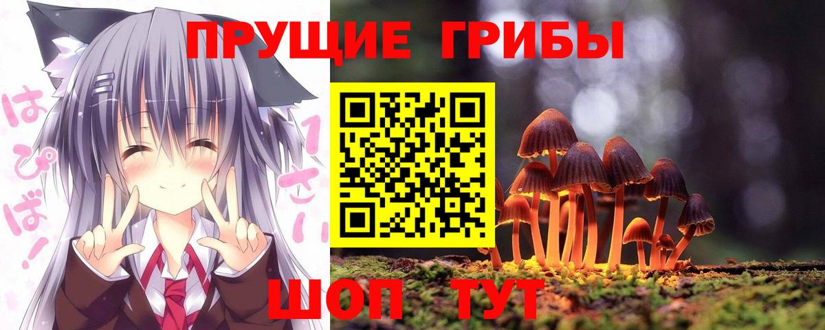 Иркутск  Галлюциногенные грибы Psilocybine cubensis  Вход с VPN 